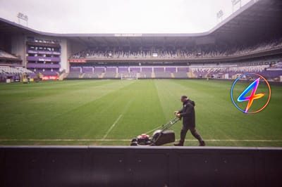 Anderlecht salvage late point to stay fourth after cup final loss